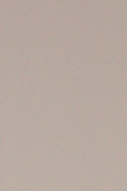 DORA MY ANAL EXPLORER