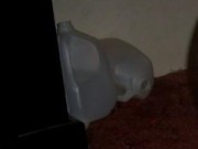 anal geile