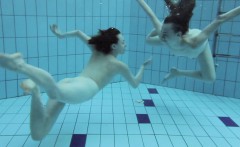 Two hot hairy beauties underwater
