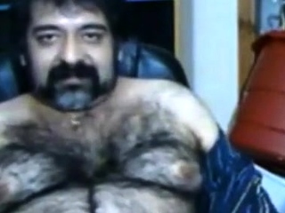 Big hairy bear and hairy body