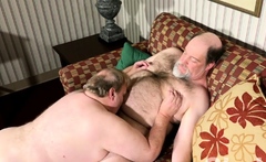 Nasty fat gay daddies sizzling mouth and anal pumping fun