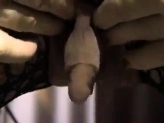enormous erect clit