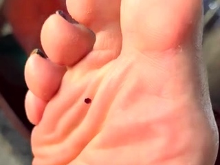 Black Amateur Explore Hot Foot Fetish