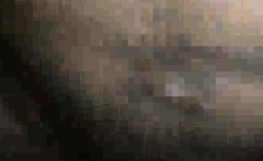 Cucky Your Wife Is Mine Cayenne Part 1 Cc