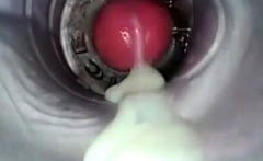 Amateur Big Cock Handjob Masturbation